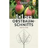 1 x 1 des Obstbaumschnitts: Bild für Bild