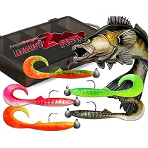 Kit De 5 Leurres Wild Devil Smart Shad Sandre – Prêts à L’emploi Avec Hameçons Et Boîte De Rangement, 10 Cm, 7 G, Arôme Ail