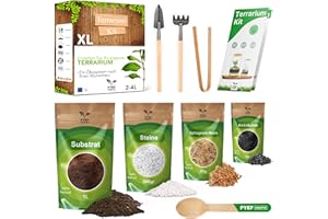 PYEF CRAFTS Flaschengarten Komplettset zum Schaffen EIN Ökosystem im Glas - Terrarium Starter Kit zum Anlegen EIN Biotop im Glas - Kit Terrarium mit Garten Werkzeug, Moos, Erde, Steinen (Ohne Flasche, XL)