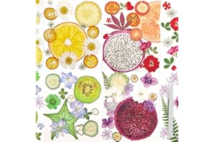 GUANGZHOU 146PCS Real Dried Pressed Flowers and Press Leaves Natural Colorful Handmade Flower Petals for DIY Face Decoration Resin Candle Nail Pendant Crafts Art Floral Decorations (dry fruit)