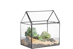 NCYP 15,5x16x11 cm Negro geométrico Terrarium suculenta Musgo Helecho Planta Caja para balcón con Tapa oscilante (sin Plantas)