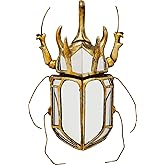 Kare Design Décoration Murale Beetle Miroir, Verre, Or, Miroir doré, Coccinelle, Insecte, Deco Intérieur, Décoration Murale P