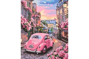 JATOK Paint by Numbers Kits for Adults, Painting Kits for Beginners On Clear Symbols Colored Canvas, Easy DIY Acrylic Pigment Drawing Paintwork for Home Wall Decor, 16x20in Frameless, Car