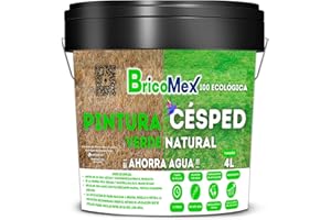BRICOMEX Pintura para Césped Seco y Hierba Seca | 100% Ecológica | Verde Hierba | Fácil Aplicación (4 Litros)