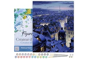 Figured'Art Pintar por Numeros Adultos con marco Techos - Manualidades pintura acrilica Kit Cuadro DIY completo - 40x50cm con bastidor montado