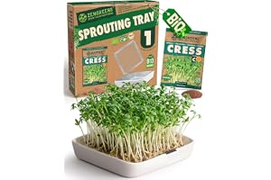 ZenGreens® Eko odlingssystem för groddar & mikrogrönt (Odlingsbricka - Set om 1)