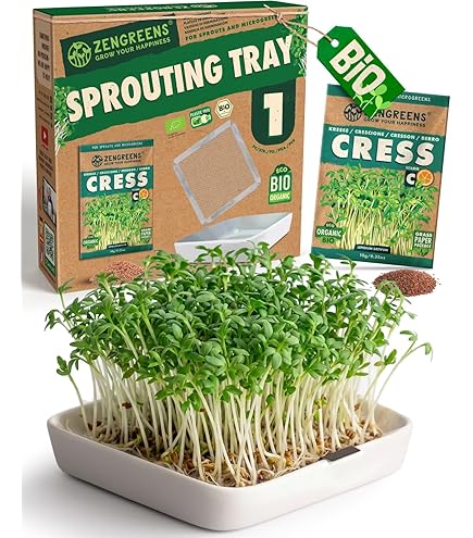 Moutta | Urbalive 2 Schalen Grau, Komplettset I Design Wurmkomposter I 250g Kompostwürmer / 500
