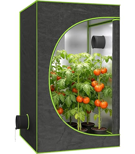 BAY6 Grow Tent 1.0m x 1.0m x 2.0m | Tall Indoor Grow Tent with 95% Reflective Mylar | Lightproof Design