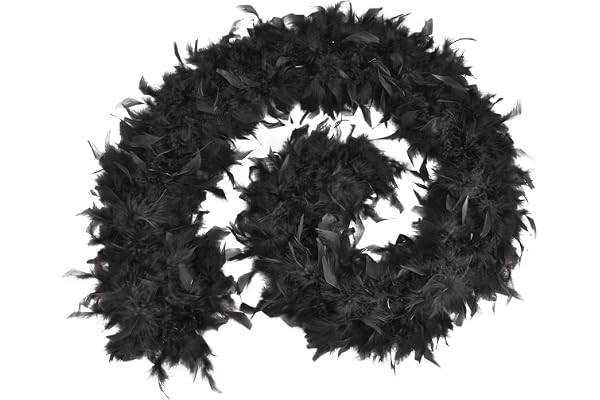 Bristol Novelty - Boa PLUMES - Adulte (Taille unique) (Noir)