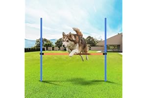 Pawise Pet Dogs Outdoor Games Agility Exercise Training Equipment Agility Starter Kit Jump Hoop Hurdle Bar