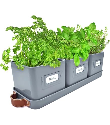 Vaso Per Erbe Aromatiche Spetebo Con 3 Scomparti, Bianco, Impilabile, 42x42x20 Cm, Resistente Al Gelo