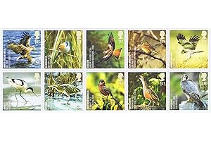 Bird Stamps - 10 x 1st Class Royal Mail mint stamps for postage. 2007 Birds Stamps featuring White-Tailed Eagle, Red Kite, Bittern, Peregrine etc