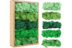 MXTIMWAN Muschio Stabilizzato, Muschio Artificiale Decorativo con 5 Diversi Colori, 200g, Muschio di Renne Artificiale per Decorazioni, Decorazioni o Modellismo, Fai da Te di Muschio
