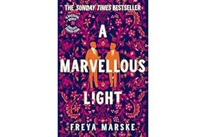 A Marvellous Light: A dazzling, queer romantic fantasy: 1