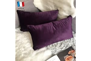 Douceur De Plumes Lot de 2 Housse de Coussin Aubergine Violet Velours 30x50 cm Uni, Taie d'oreiller Rectangulaire Doux et Moderne pour Salon Scandinave Pourpre, Canapé (2 Aubergine)