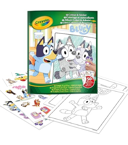 Booghe Bluey Aqua Magic Livre Coloriage – Sans Désordre, Pinceau Eau, 4 Scènes Réutilisables, Dès 3 Ans, Cadeau Voyage
