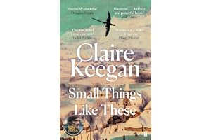 Small Things Like These: The Irish Times readers' choice for best Irish book of the century