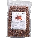 Nocciole Crude Siciliane - Frutta Secca Fonte di Vitamine e Fibre - Senza Glutine (500g)