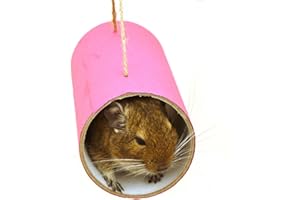 Chewchewbs Totally Degu 4 pack (Pink)