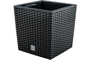 PROSPERPLAST Prosper Plast DRTS200l-S433 - Rato Bajo de la Maceta, Color Gris, 20 x 20 x 20,2 cm, Set de 2 partes (con olla de inserción)