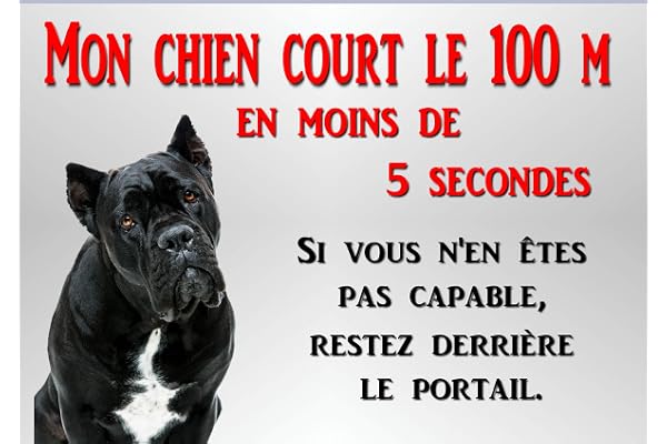 plaque attention chien cane corso en métal 29 x 20 cm env réf 63