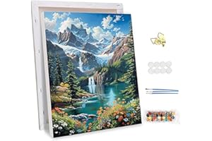 NEWENMO Malerischer Bergblick Malen Nach Zahlen Erwachsene mit Rahmen,Ruhige Oase Paint by Numbers,DIY Handgemalt Ölgemälde Kit für Anfänger,Malen Nach Zahlen Kits,für Home Dekoration-30x40cm