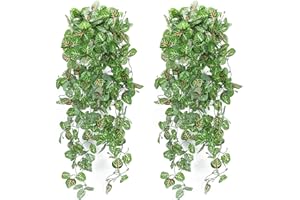 HUAESIN HUAESN 2PCS Piante Artificiali Pendenti Piante Artificiali Rampicanti Pianta Finta Cadente con Verde Foglie Finte Pianta Finta Cadente per Decorazioni Balconi Parete Porta