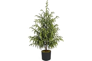 HOMEKAREN Künstliche Norfolk Kiefer - 3FT / 90CM Faux Weihnachtsbaum Topfpflanzen Echte Berührung für Indoor Outdoor Home Front Veranda Weihnachtsdekoration