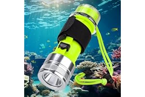 Beedove Dive Torch IPX8 Waterproof, 2000 Lumens Scuba Diving Flashlight Rechargeable, Super Bright Small Torch for Underwater, Scuba Diving Equipment
