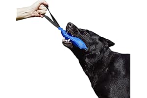 DINGO GEAR WWW.DINGOGEAR.COM 1977 Dingo Gear IGP & Fun Jouet à mâcher en nylcot pour Dressage de Chien Bleu 20 x 7 cm