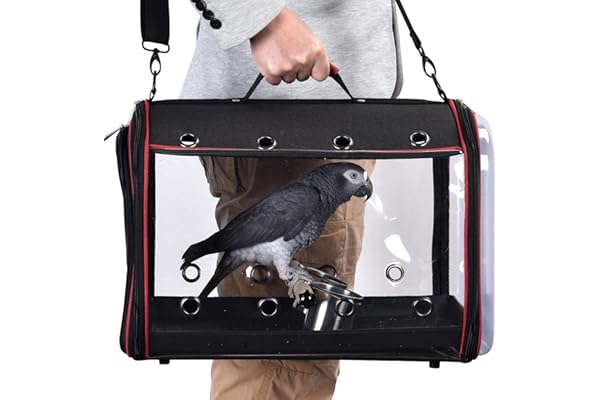 Colorday Cage de Transport légère pour Oiseaux, Grande Taille 48 x 30 x 33 cm, Noir
