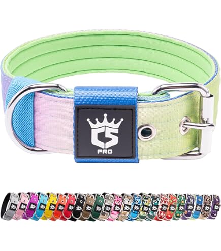 biothane halsband hund 19mm BioThane Halsband für Hunde