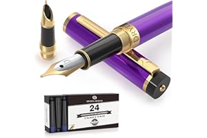 Dryden Designs Fountain Pen - Medium and Fine Nibs | Includes 24 Ink Cartridges and Ink Refill Converter | Calligraphy Pen, Consistent Writing, Smooth Flow - Decadent Purple