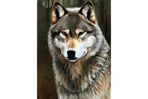 VAIIEYO 5D Diamond Painting Loup, Broderie Diamant Animal, Canevas Diamant kit Complet Point De Croix Broderie Salon Chambre Autocollant Mural Décoration 30x40cm