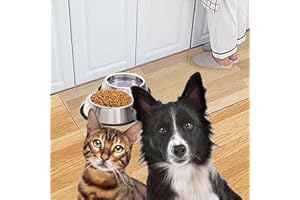 ‎ARTWELT Artwelt Futtermatte Folie Transparent Bodenschutzmatte Wiederaufbereitet Napfunterlage in Verschiedenen Größen Erhältlich für Katze oder Hund (50cm X 60cm)