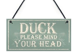 RED OCEAN XLD Store Placa de Pared para Colgar en la Puerta de la Amistad con Texto en Inglés, Duck Mind Your Head