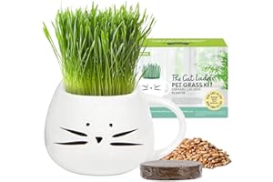 The Cat Ladies Erba per Gatti da Interno - Kit di Coltivazione - con Semi Terriccio e Fioriera a Forma di Tazza - Snack Naturale per Gatti - Aiuta la Digestione Contro Boli di Pelo