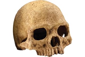 Exo Terra Terrarium Dekor Primaten Schädel