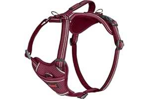 HALTI Anatomy Dog Harness with Handle - Provides Your Dog Freedom of Movement for Comfortable Walking. 3 Lead Attachment Points, Neoprene Padded, Adjustable, and Reflective (Size Medium, Magenta)