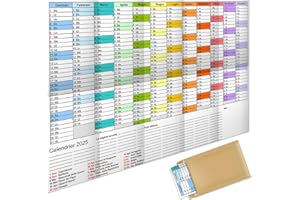 AEYAKA Calendario da Parete 2025 Grande Calendario Annuale A1 Planner con Panoramica delle Festività Calendario delle Settimane Calendario Piegato 57 cm x 87 cm italiano
