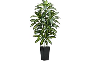 TNGGNT Artificial Plants Dracaena Tree 6FT, Large Artificial Plants Indoor with Black Tall Planter, Tall Fake Floor Plant in Pot Indoor Decor, Fake Dracaena Tree for Home Living Room Office Decor