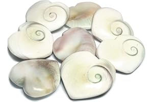 CrystalAge Shiva Shell Heart ~32-35mm