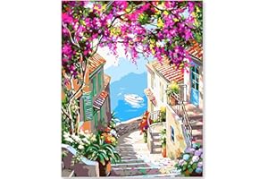 EFOTIML Kit di pittura per numeri per adulti principianti e bambini età 8-12, 1pcs 16x20 Canvas per Kit di pittura per adulti in scatola colorata (senza cornice) - Ciudad de Flores