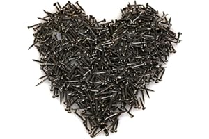 HVDHYY 500PCS Small Nails for Wood Black Round Head Small Wooden Nail Small Nails DIY Assorted Flat Head Nail 1 * 10mm