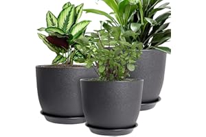 MUAEEOK Plant Pots 25/23/20 cm, Set of 3 Modern Decorative Plastic Planters with Drainage Holes and Saucers Plastic Flower Pots Nursery Planting Pot for House Plants Indoor Flowers Plants (Black)