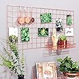 Franklite Photo Grid Frame Wall Grid Panel For Rectangular Photo Hanging Display & Wall Decoration Organizer, Multi-Functional Wall Storage Display Grid(30 X 30Cm) (Pink),Steel,Steel 1pcs