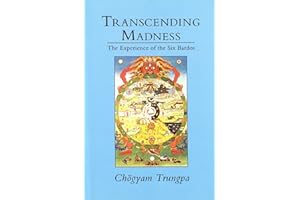 Transcending Madness: The Experience of the Six Bardos (Dharma Ocean Series)