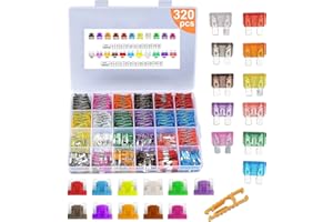 320PCS Autosicherungen Set, Bst4u 160PCS Micro Mini+160PCS Mittlere Autosicherungen 2A 3A 5A 7,5A 10A 15A 20A 25A 30A 35A 40A mit Aufbewahrungskoffer