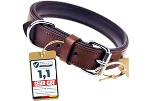 Schnüffelfreunde Obroża skórzana dla psa I Obroża dla psów ze skóry (L - 36-45cm, Brązowa)