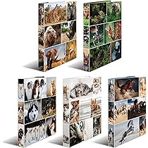 Raccoglitore A4 HERMA Con Fiori Di Ciliegio - Larghezza 7 Cm - Foto 6